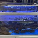 봉우재로 240 이미지