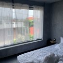 [제주] 제주 동쪽, 함덕 근처 애견동반 프라이빗 감성숙소 무이재, 재: 자쿠지 와 야외 정원