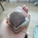 서린치과의원 | 2026 2월 Tagebuch