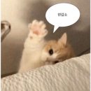 오케이세탁소 | 여름아 가(지마) 🫧⛱️🧊