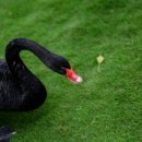 드림체육관 이미지