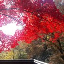 백화산둘레길 이미지