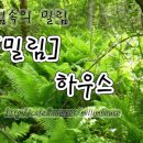 밀림