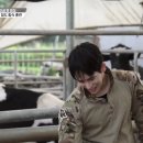 준서축산 이미지