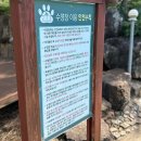 펜션비우고채우는숲 | 밀양 대형견동반펜션 쿠쿠숲펜션 강아지 수영장