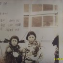 포항고등어추어탕 이미지