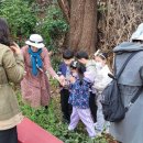 문흥초교 이미지