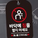 제제 이미지