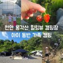 천안 몽각산 힐링뷰 캠핑장, 5월 텐트와 캠핑카가 함께한 아이 동반 3가족 캠핑 후기
