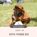 청학동물병원 이미지