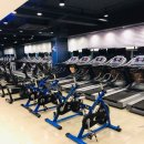 까르페디엠 이미지