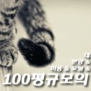 도그 PC 이미지