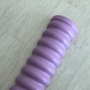 바른자세척추운동(SNPE) 이미지