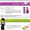 셰프의 선택