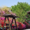 뜨락엔햇살 이미지