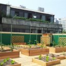 신촌어린이집 이미지