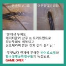 인셀덤보타랩 전혜연