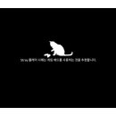 스트레이(STRAY)