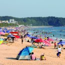 대천해수욕장 이미지