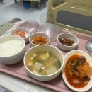 부산마이크로병원 | 엄지손가락 끝마디 전층피부이식 수술 후기 - (1) | 부산마이크로병원 | 미세수술, 수부전문병원
