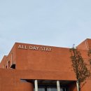 올스테이 | [춘천 카페] 대형 베이커리 카페 &#39;올데이스테이&#39; 내돈내산 후기