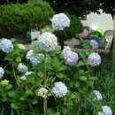 문수실버복지관 이미지