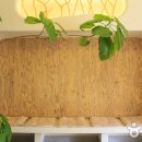 꿈꾸는 노마드 이미지