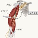슈트짐 이미지