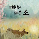 [봄봄출판사 신간] ＜매미와 늙은 소＞ 차오원쉬엔 글, 브리타 테켄트럽 그림, 이선경 옮김 이미지