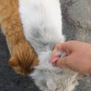 성천리경로당 이미지