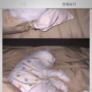 시아동물병원 이미지