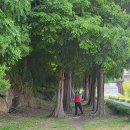 동촌유원지 녹수대 이미지