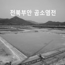 곰소토굴젓갈