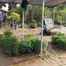 청종농장 이미지