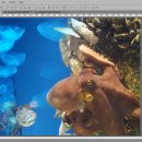 플러스컴퓨터학원 이미지