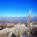 평택소사벌 산악회232회차 산행 안내 이미지