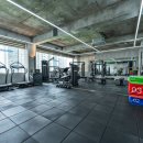 제너럴무브먼트 이미지