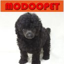 모두와샵 이미지