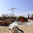 대구광역시 도시관리본부 | 대구 하중도(금호꽃섬) 26/02