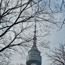 남산&N서울타워 | [서울 용산] 남산타워 N서울타워 전망대 버스로 가는 방법
