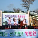 신기초등학교↔신기초등학교 이미지