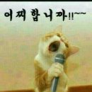 보까 이미지