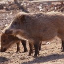 광역농장 이미지