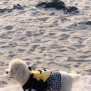 🐴제주도를 1년동안 3번 간 여자 . .