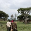 쿠두 | 신혼여행] 킬리만자로 숙소 Serval wildlife 후기ㅣ동아프리카 동물들과 함께하는 이색 숙소ㅣ요즘은...