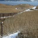 서천IC 이미지
