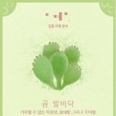 포레스트(forest) 이미지