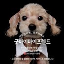 무지개할인마트 이미지