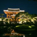 법수PC | 대전근교 세종시 가볼만한곳 아이와 국립세종수목원 야간개장 주말 나들이