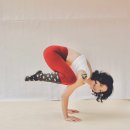 조선석사태권도 이미지